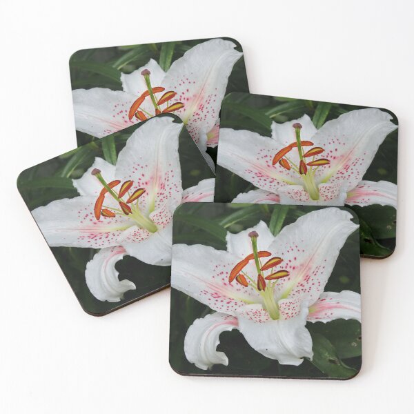 Item preview, Asiatic Lily designed and sold by AnnDixon.