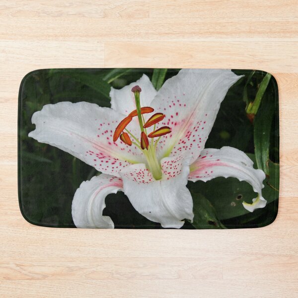 Item preview, Asiatic Lily designed and sold by AnnDixon.