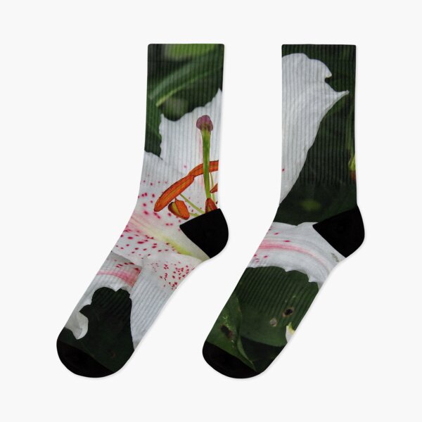 Item preview, Asiatic Lily designed and sold by AnnDixon.