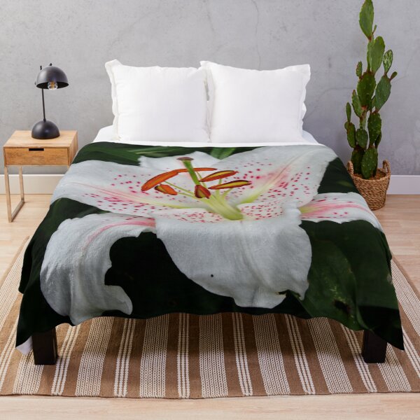 Item preview, Asiatic Lily designed and sold by AnnDixon.