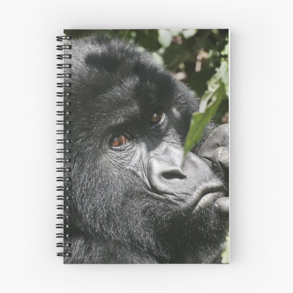 Item preview, Pensive designed and sold by Steve Bulford.