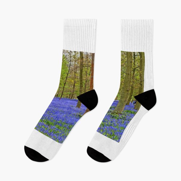 Item preview, Bluebell Woods Greys Court Oxfordshire UK designed and sold by AndyEvansPhotos.