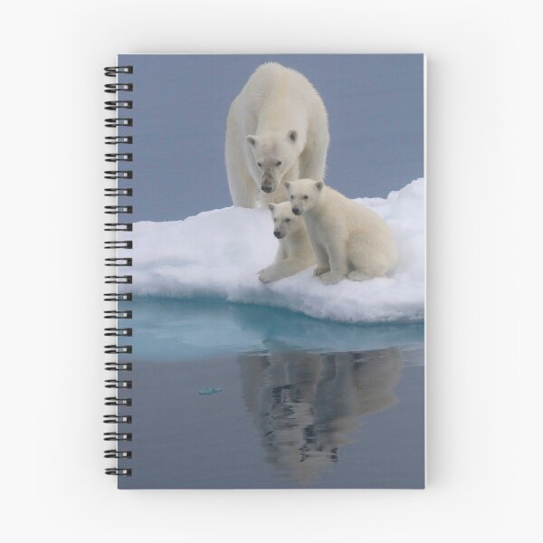 Item preview, Polar Reflections designed and sold by Steve Bulford.