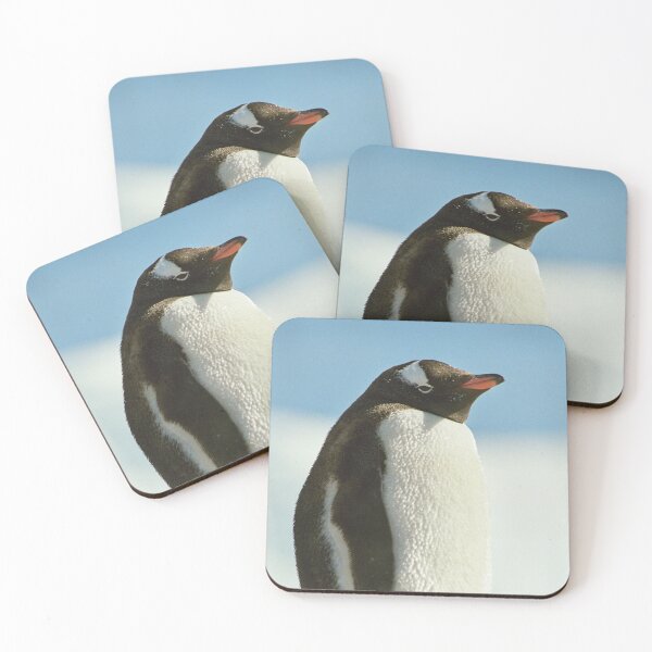 Item preview, Gentoo Penguin designed and sold by Steve Bulford.