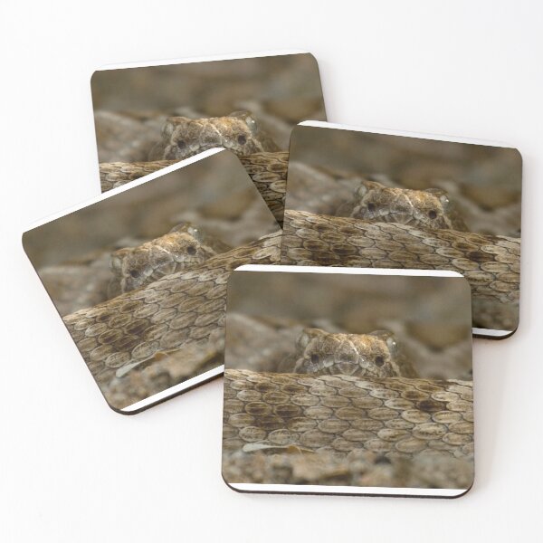 Item preview, Rattleless Rattlesnake! designed and sold by Steve Bulford.
