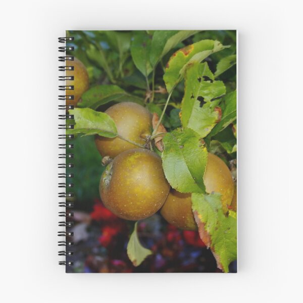 Item preview, English Russet Apple designed and sold by AnnDixon.
