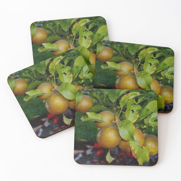 Item preview, English Russet Apple designed and sold by AnnDixon.