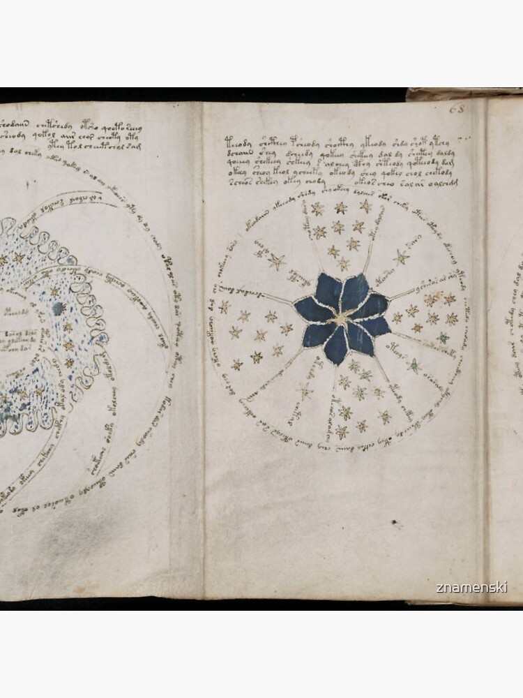 Voynich Manuscript. Illustrated codex hand-written in an unknown writing system by znamenski