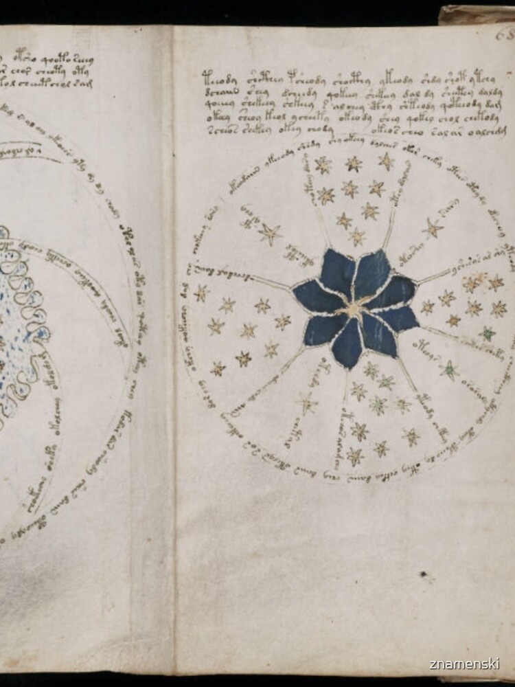 Voynich Manuscript. Illustrated codex hand-written in an unknown writing system by znamenski