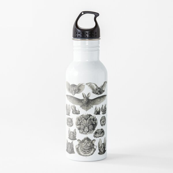 Bats! Water Bottle