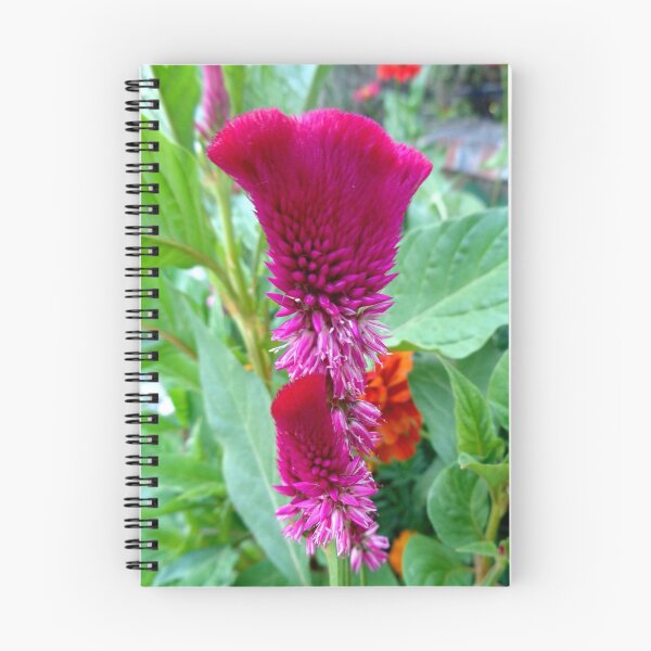 Item preview, Celosia designed and sold by Ana Belaj.