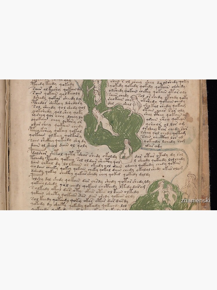 Voynich Manuscript. Illustrated codex hand-written in an unknown writing system by znamenski