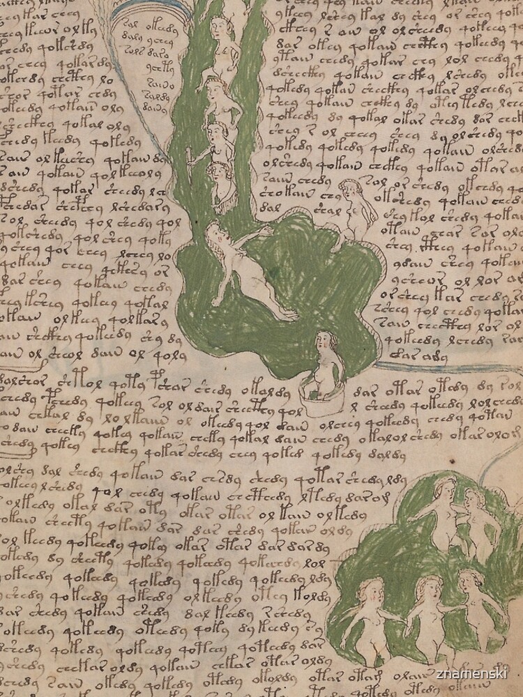 Voynich Manuscript. Illustrated codex hand-written in an unknown writing system by znamenski
