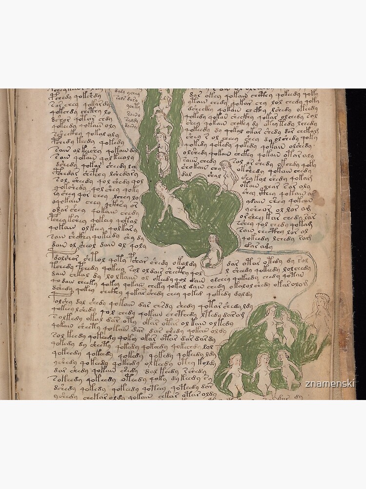Voynich Manuscript. Illustrated codex hand-written in an unknown writing system by znamenski