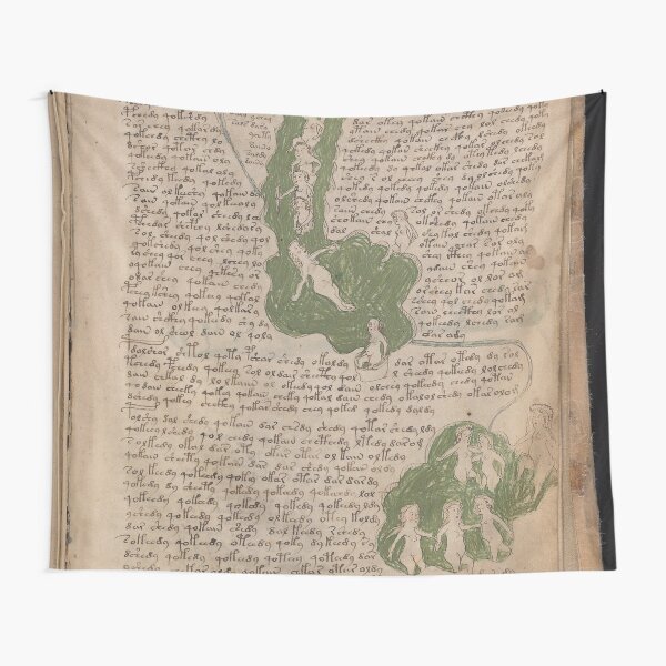 Voynich Manuscript. Illustrated codex hand-written in an unknown writing system Tapestry