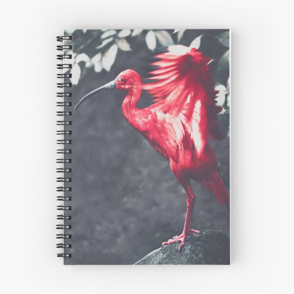 Item preview, Scarlet Ibis designed and sold by LukeKanelov.