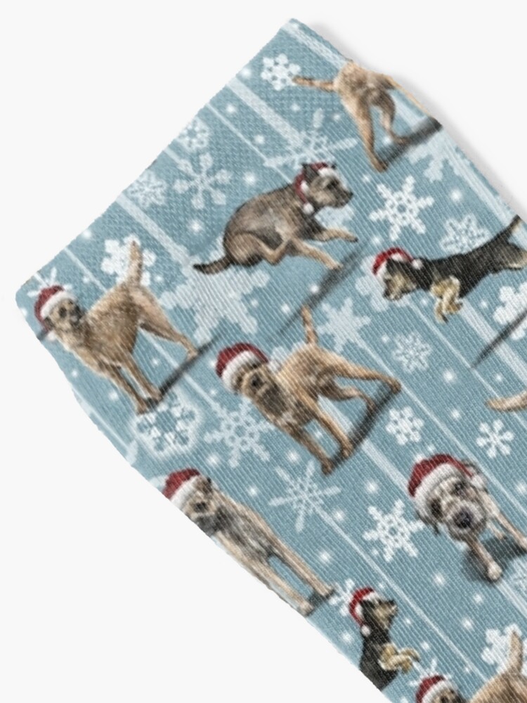 Disover The Christmas Border Terrier | Socks