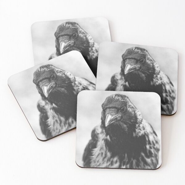 Item preview, Hooded crow designed and sold by LukeKanelov.