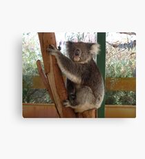 Australian Icon Canvas Print