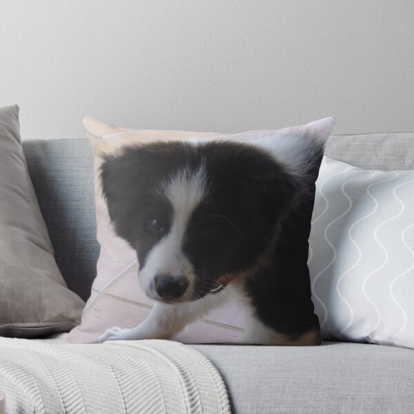 Item preview, Murphy designed and sold by mcost45.