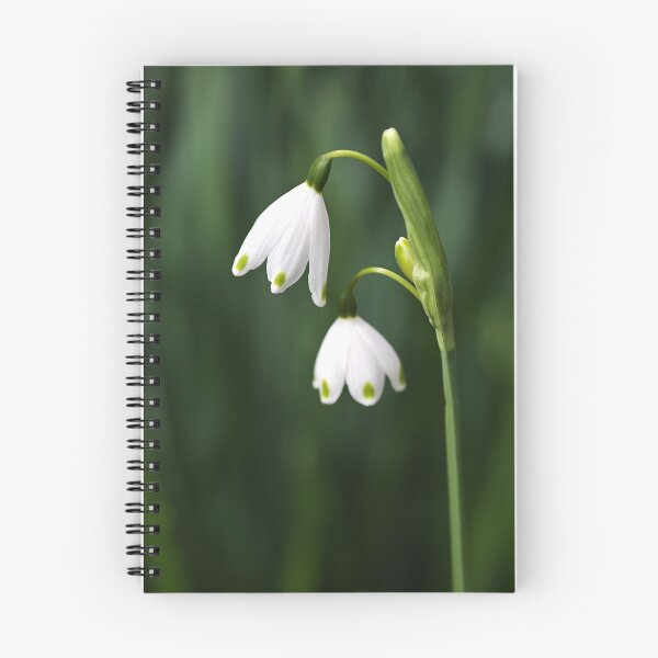 Item preview, Snowdrops Painted Finger Nails designed and sold by Joy Watson - Natural Light Photography .
