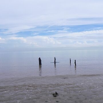 Artwork thumbnail, McLaren's Beach by Martha Medford