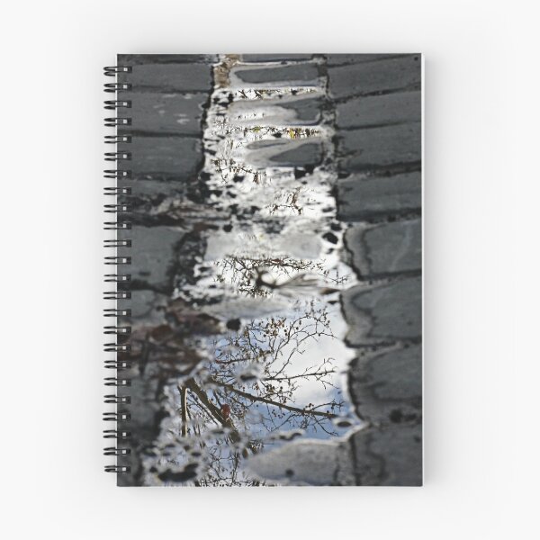 Item preview, Plane trees in puddles designed and sold by Karen Tregoning.