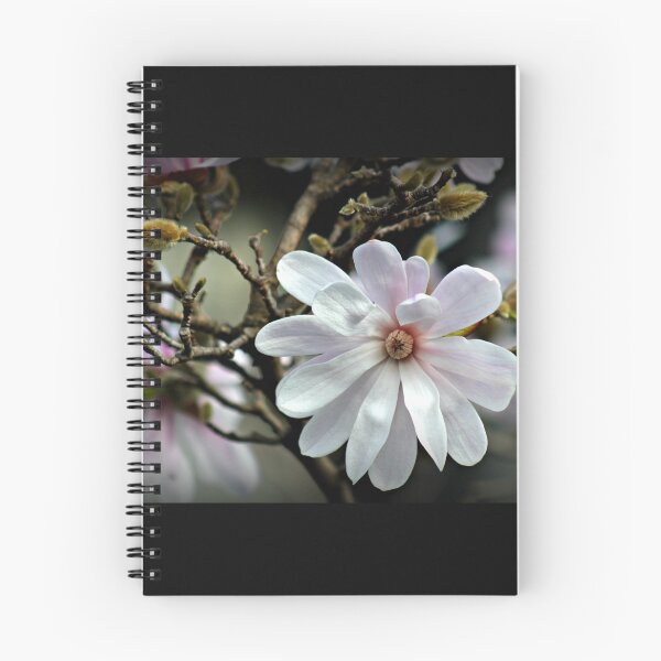 Item preview, White Star designed and sold by Karen Tregoning.