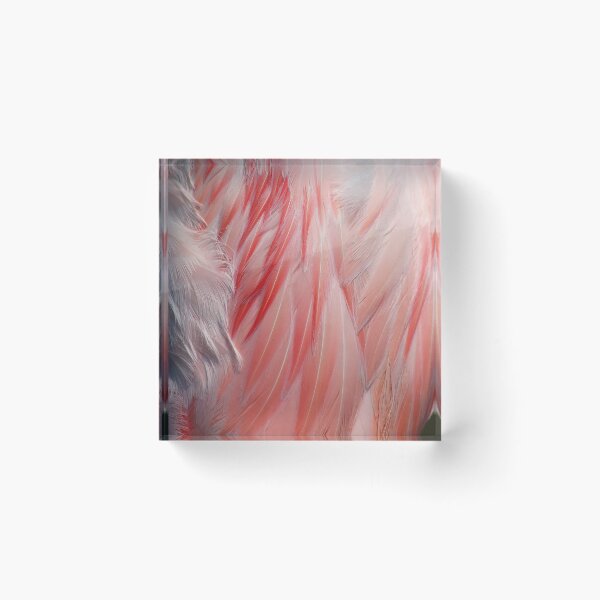 Item preview, Flamingo Coral Pink Feathers Photograph designed and sold by HotHibiscus.
