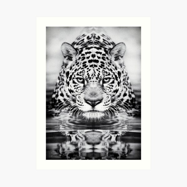 Leopard Art Print