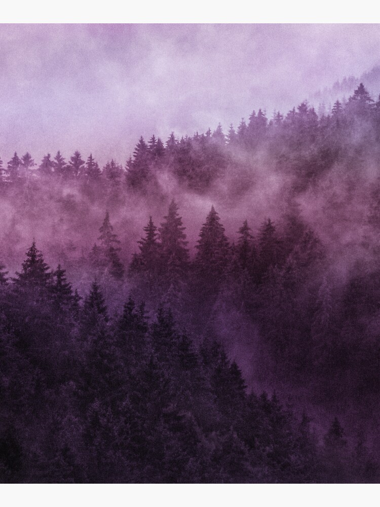 Excuse Me, I'm Lost // Laid Back Edit by tekay