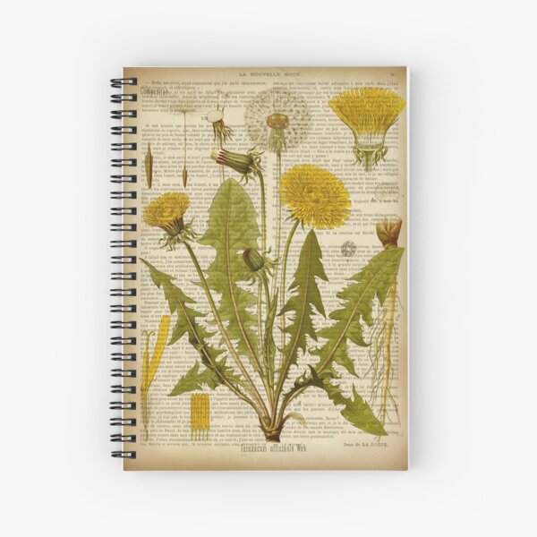 Item preview, Botanical print, on old book page - dandelion flowers designed and sold by Art by Lilia.