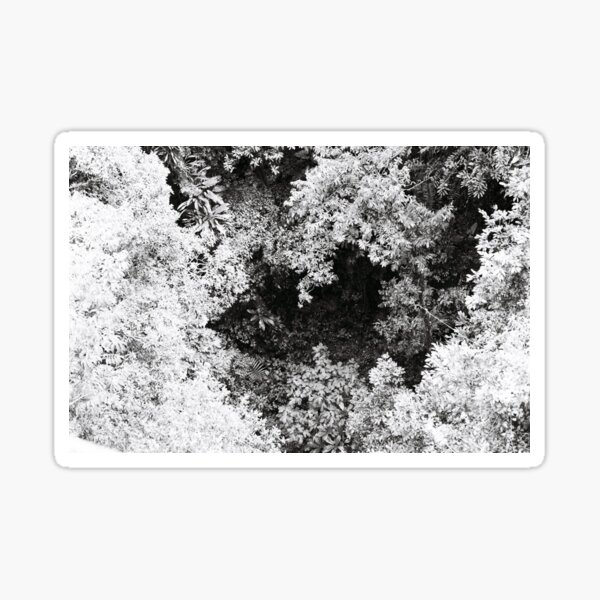 Canopée Sticker