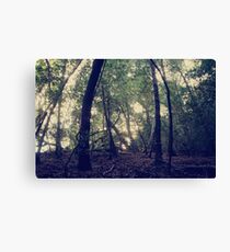 When You're Lost Canvas Print