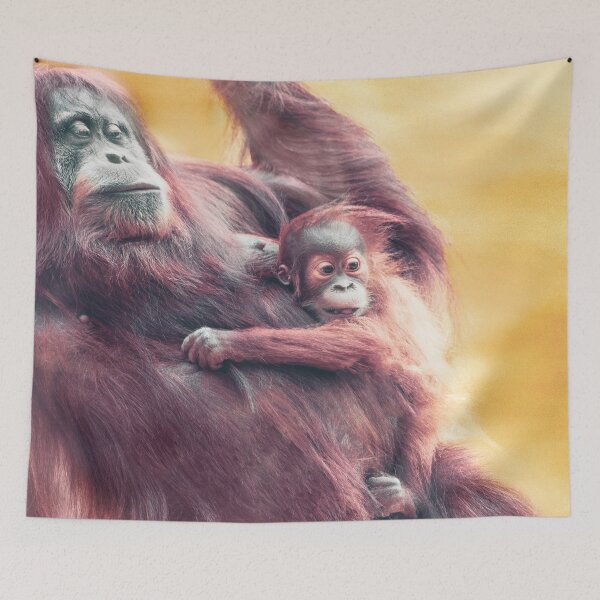 Item preview, Baby and Mother Sumatran Orangutan designed and sold by LukeKanelov.