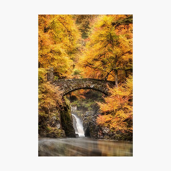 Item preview, Hermitage - Dunkeld designed and sold by Craig Doogan Prints.