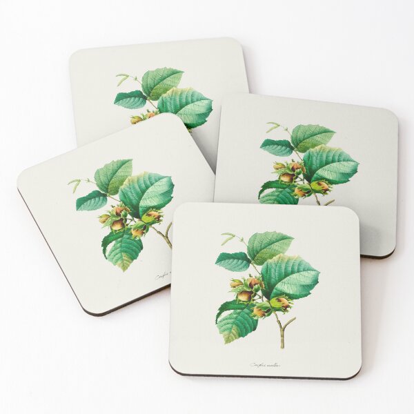 Item preview, Vintage Botanical Hazelnut Plant-Solid Background designed and sold by ElectricCoffee.