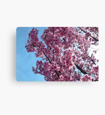 Blossoms up Close 4 Canvas Print