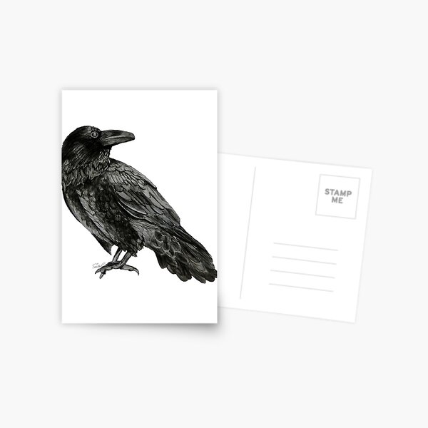 Rabe Postkarte