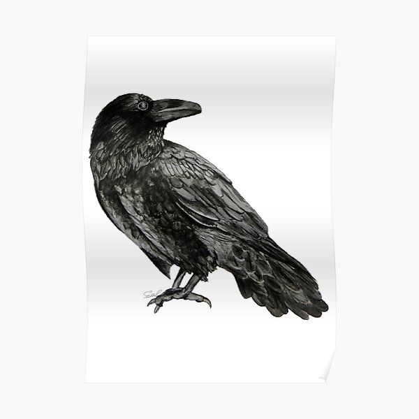 Raven Poster