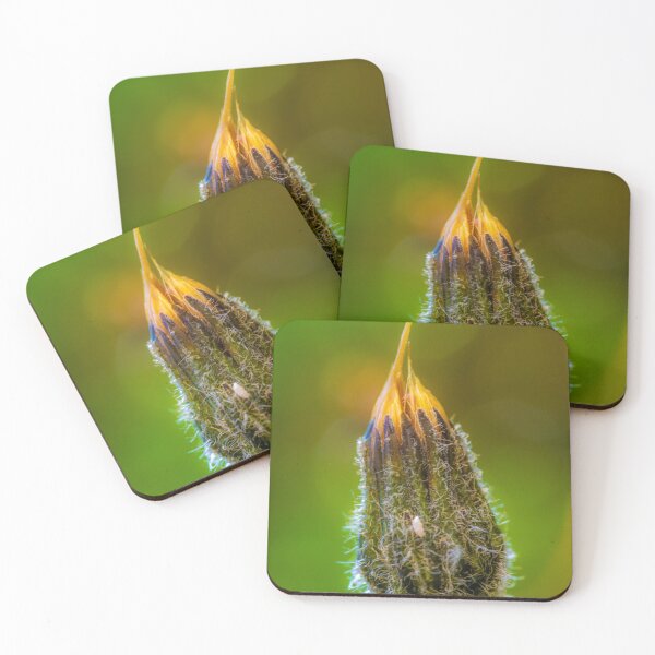 Item preview, Flower macro designed and sold by PeterCseke.