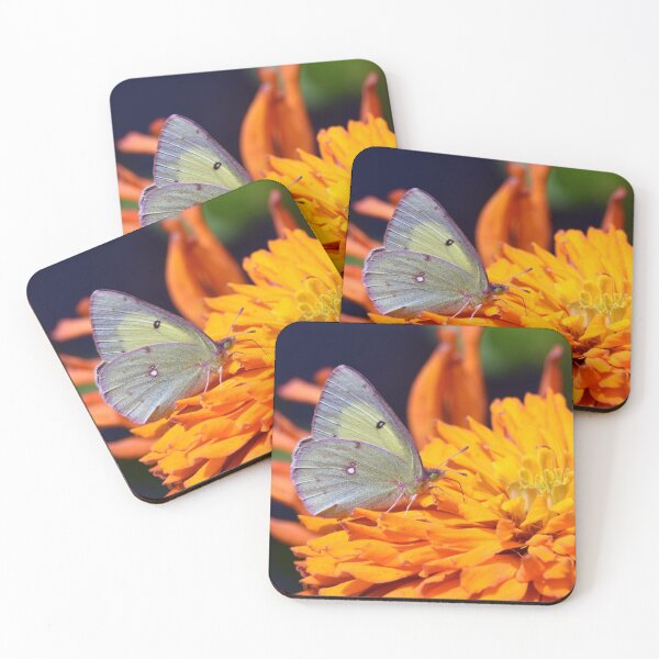 Item preview, Butterfly and the Orange Zinnia designed and sold by Maureen Zaharie.