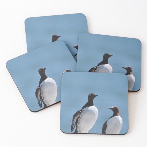 Item preview, The guillemot gang ! designed and sold by miradorpictures.
