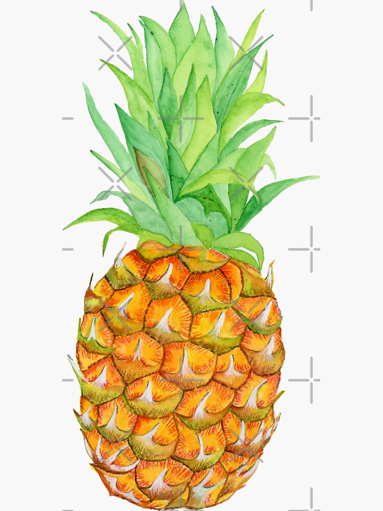 Watercolor Hawaiian Pineapple Sticker For Sale By Artichromadsgns Redbubble 3769