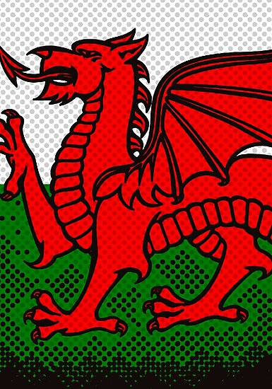 "Welsh Dragon" Photographic Print by SquareDog | Redbubble