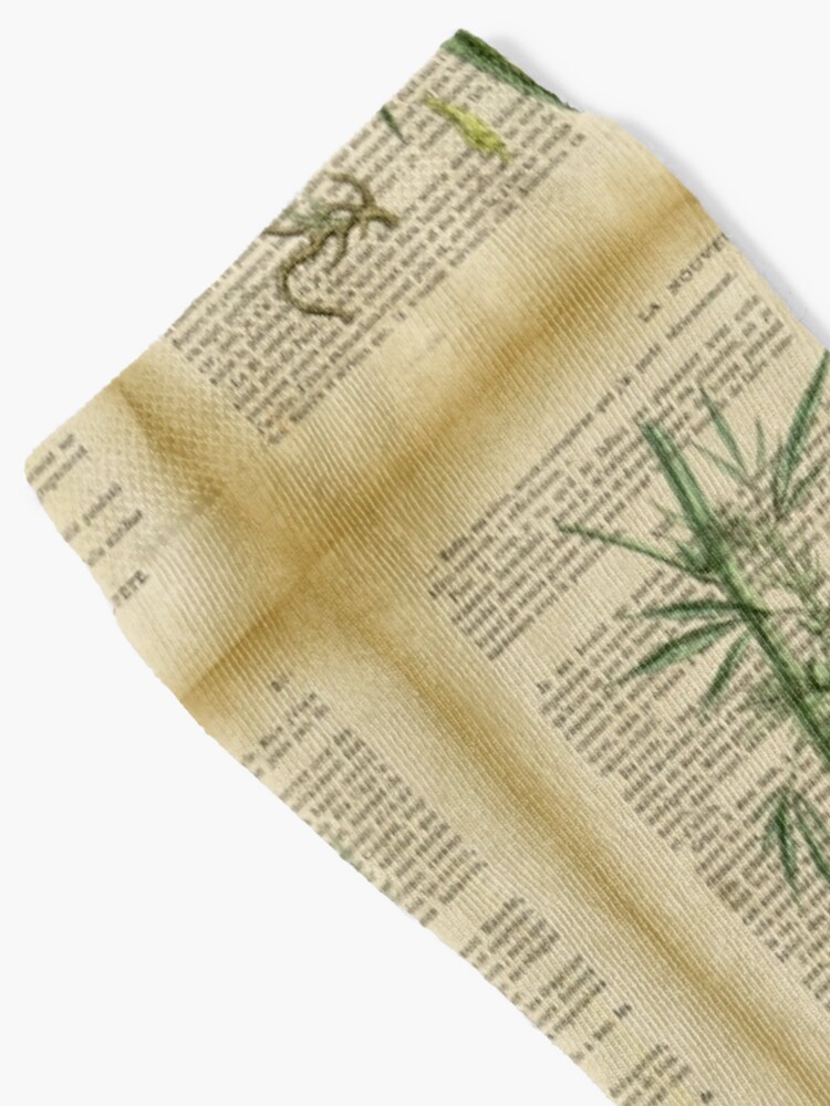 Material Paper - Book of Botany Vintage Plant Scrapbook Paper Book