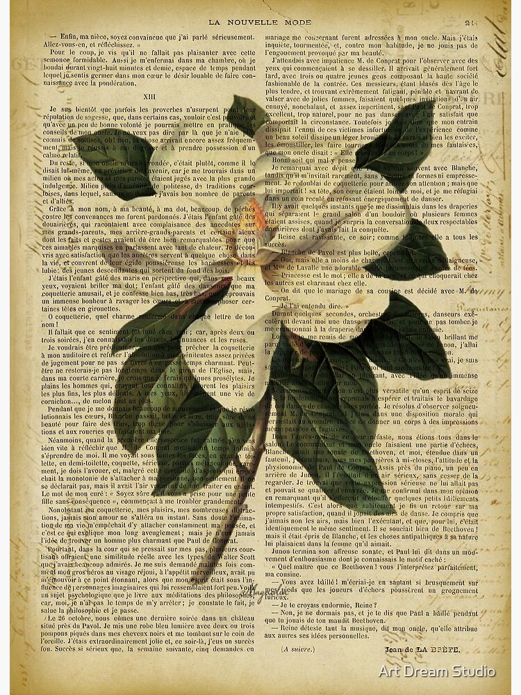 Botanical print, on old book page - Mandragora Tapestry for Sale by Art  Dream Studio