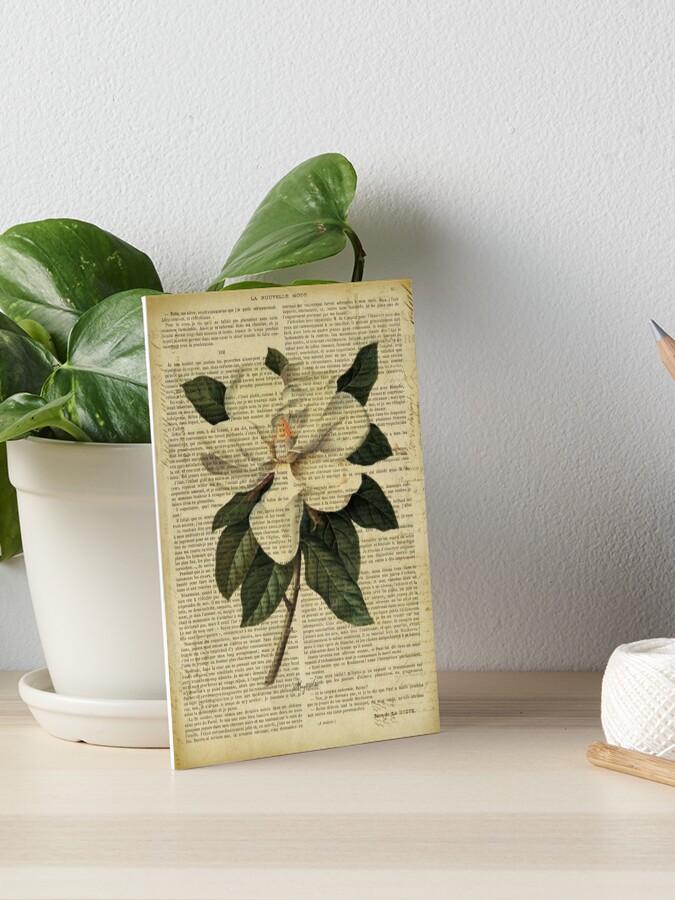 Botanical print, on old book page - Mandragora Tapestry for Sale by Art  Dream Studio