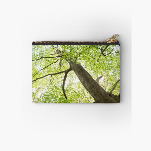 Item preview, Chelsworth Park tree canopy designed and sold by ccullen222.