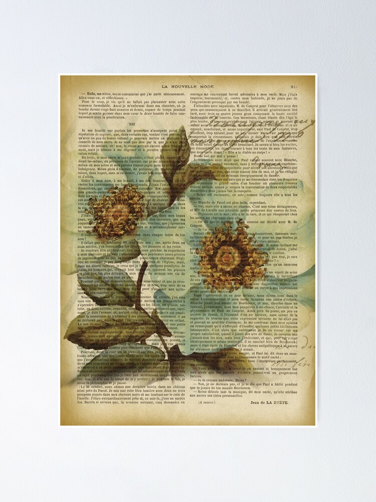 Poster magnolia flower with Old antique vintage paper background